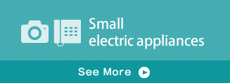 Small electric appliances